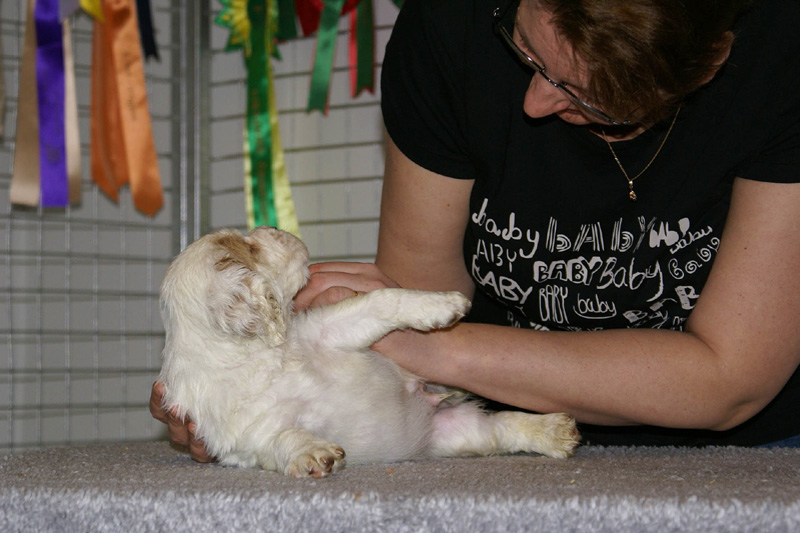 x_boy_blue_nearly_6weeks_a