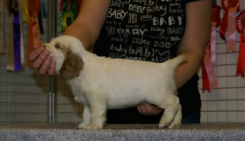 x_boy_blue_nearly_6weeks_e