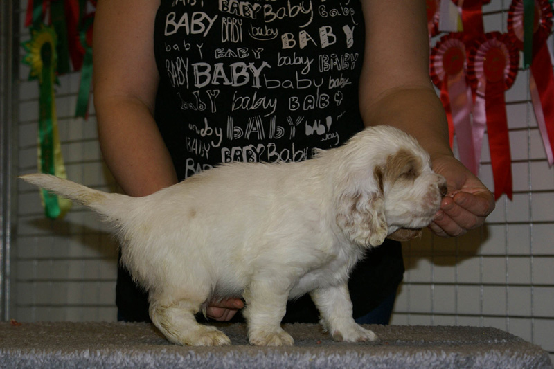 x_boy_blue_nearly_6weeks_g