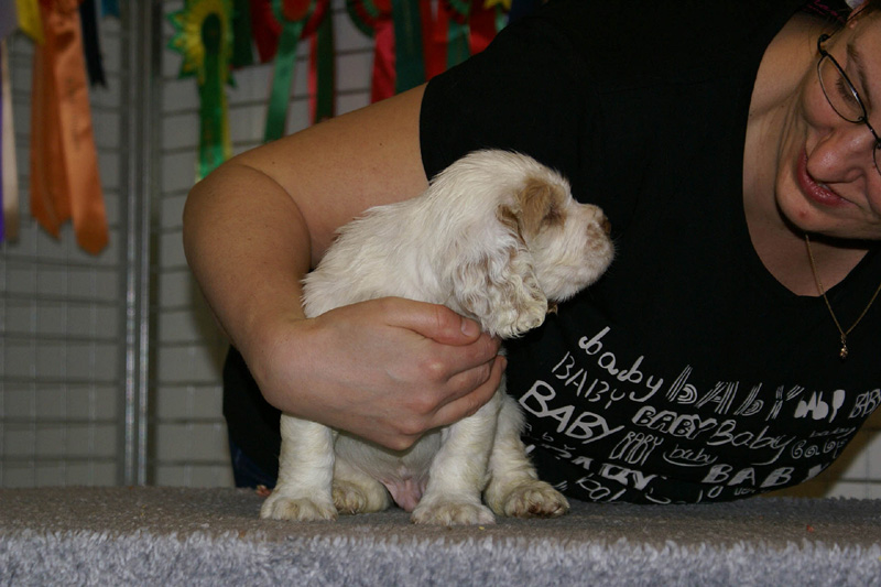 x_boy_blue_nearly_6weeks_j