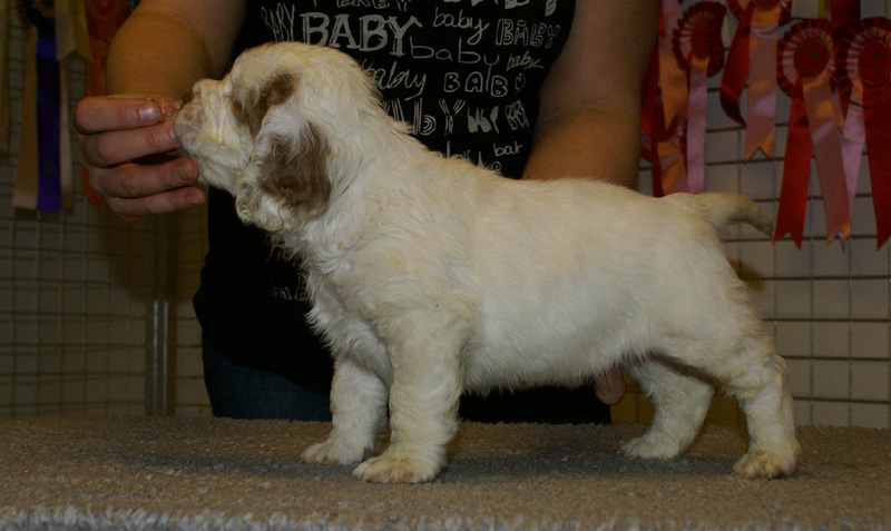 x_boy_bronze_nearly_6weeks_b