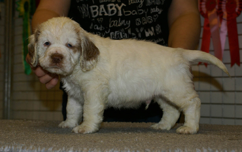 x_boy_bronze_nearly_6weeks_i