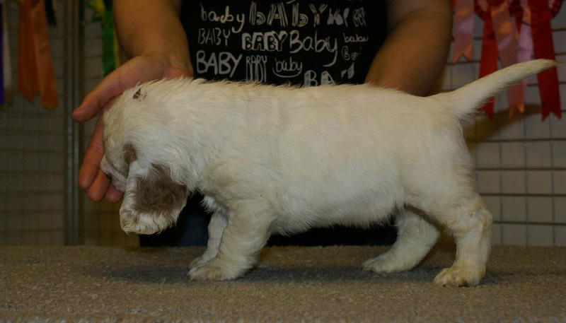 x_boy_bronze_nearly_6weeks_k