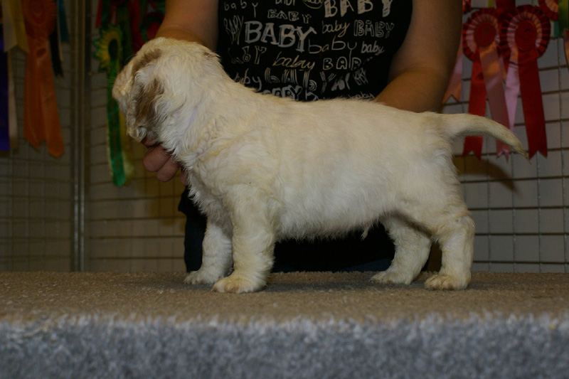 x_boy_bronze_nearly_6weeks_l