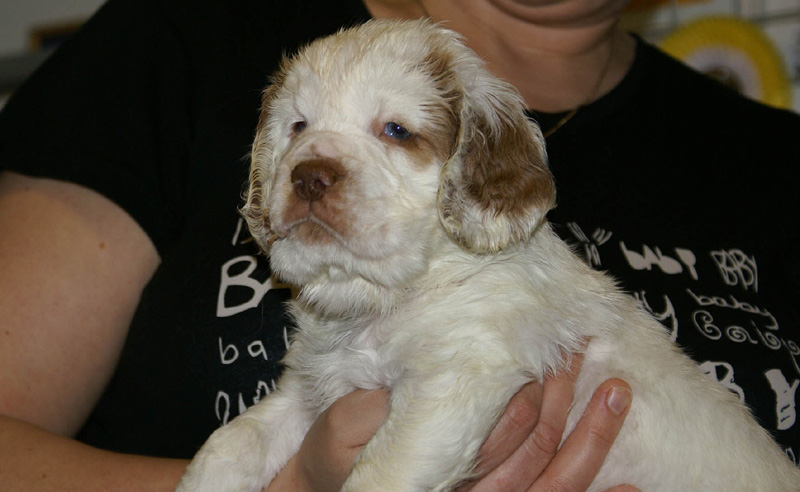 x_boy_bronze_nearly_6weeks_p