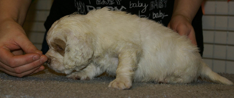 x_boy_green_nearly_6weeks_a