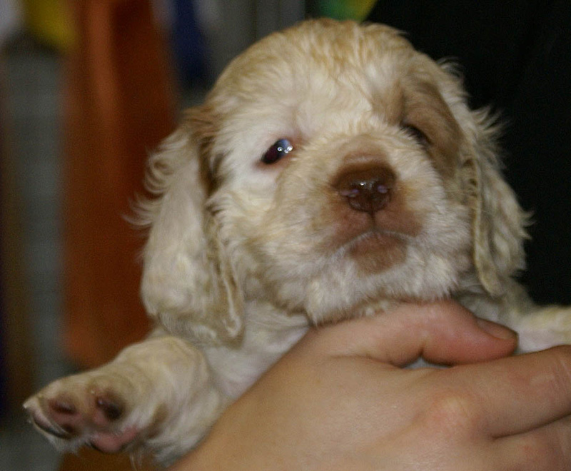 x_boy_green_nearly_6weeks_b