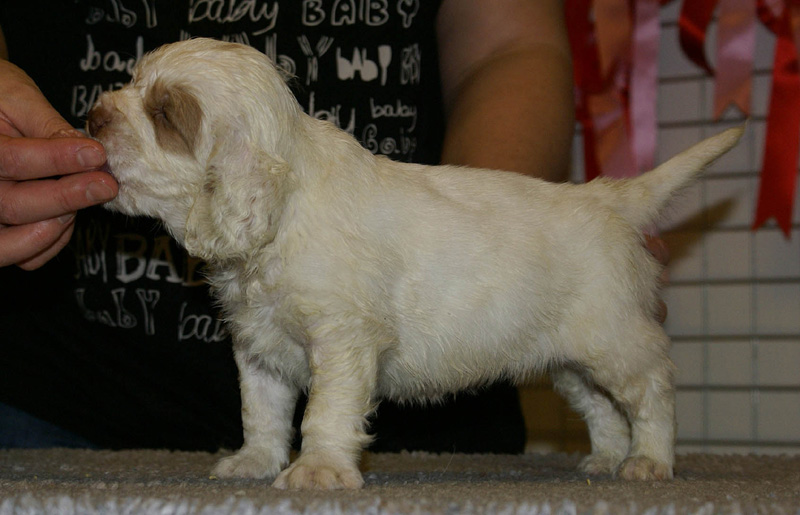 x_boy_green_nearly_6weeks_c