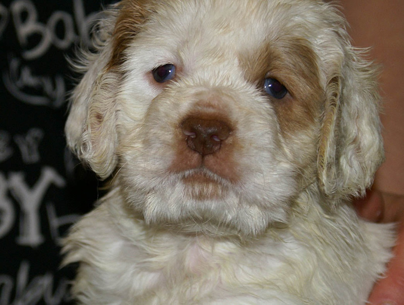 x_boy_green_nearly_6weeks_d