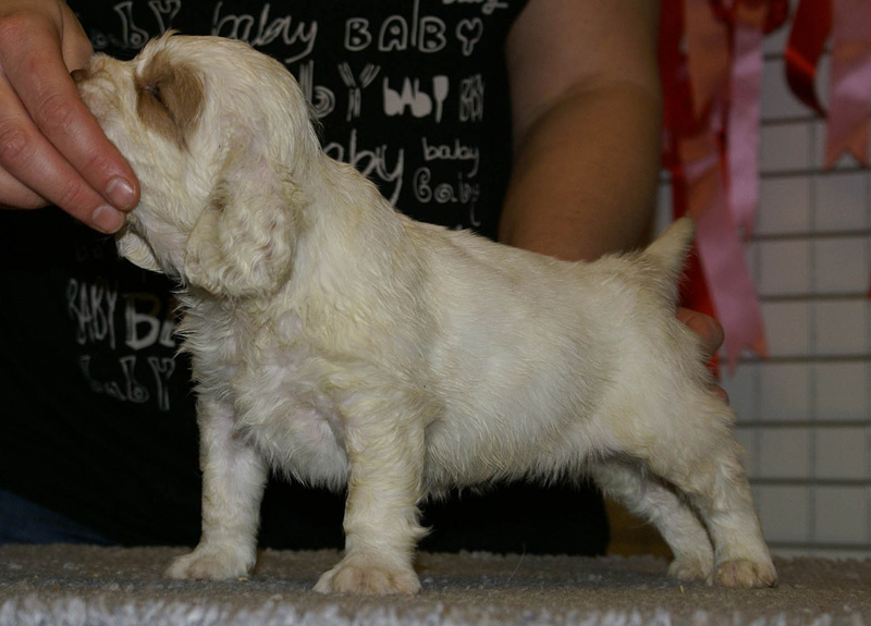 x_boy_green_nearly_6weeks_e