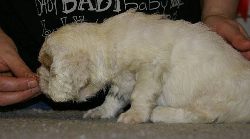 x_boy_green_nearly_6weeks_g