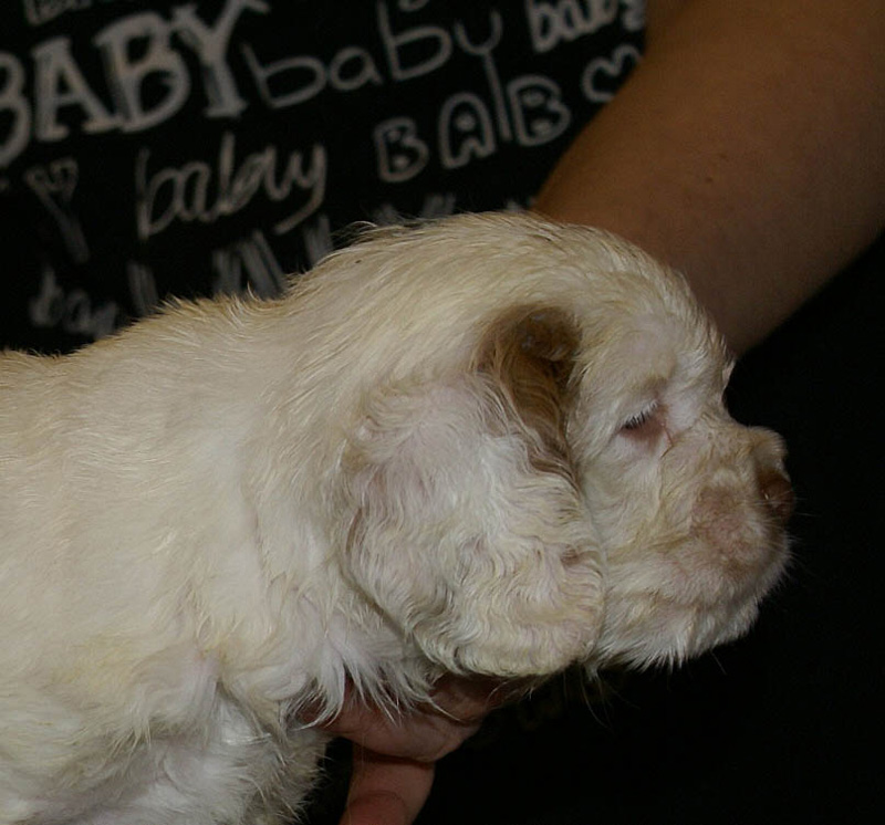 x_boy_green_nearly_6weeks_i