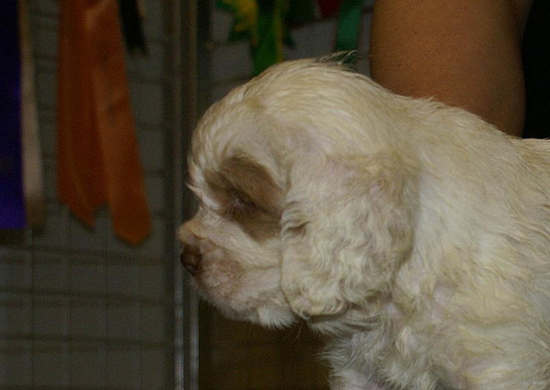 x_boy_green_nearly_6weeks_k