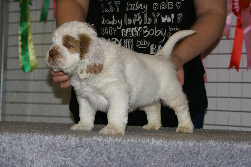 x_boy_pink_nearly_6weeks_a