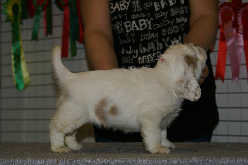 x_boy_pink_nearly_6weeks_b