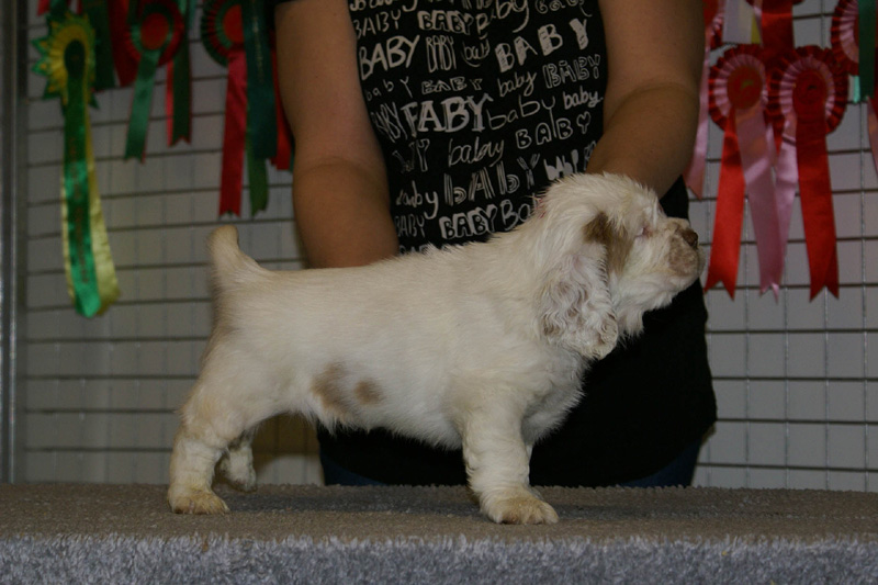 x_boy_pink_nearly_6weeks_c