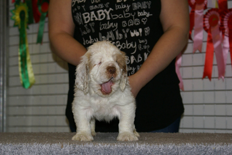 x_boy_pink_nearly_6weeks_d