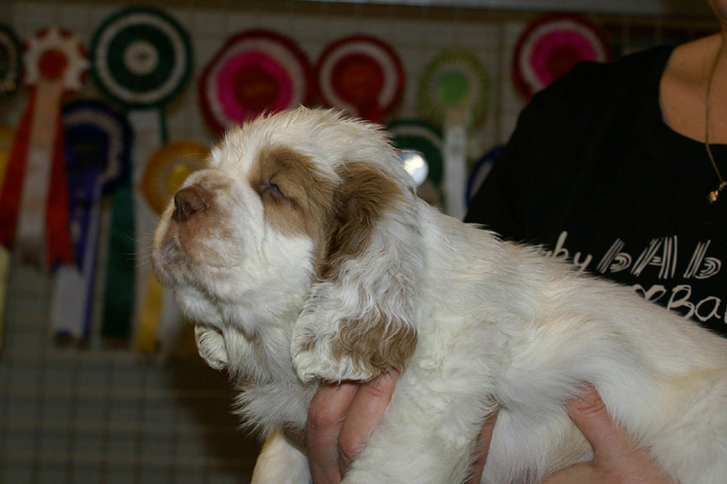 x_boy_pink_nearly_6weeks_e