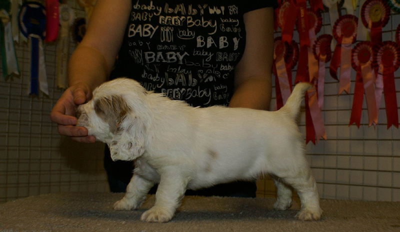 x_boy_purple_nearly_6weeks_a