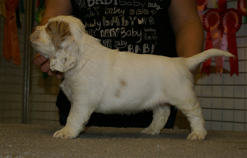 x_boy_purple_nearly_6weeks_b