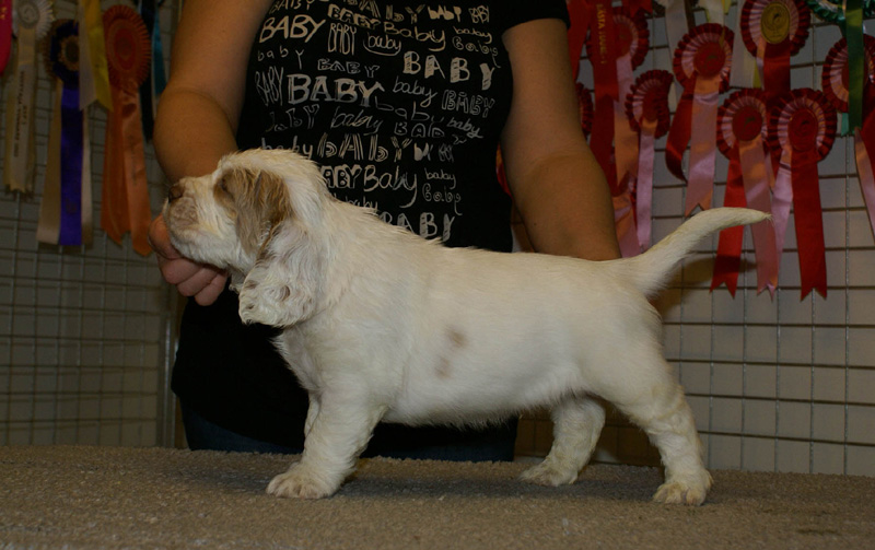 x_boy_purple_nearly_6weeks_c