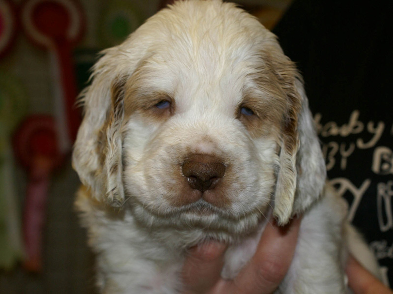 x_boy_purple_nearly_6weeks_e