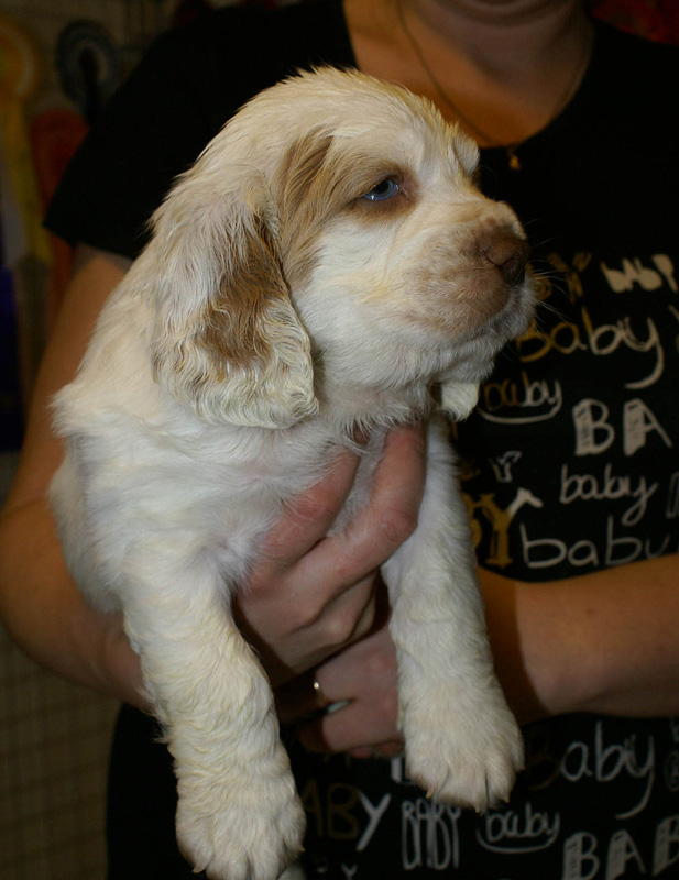 x_boy_purple_nearly_6weeks_g