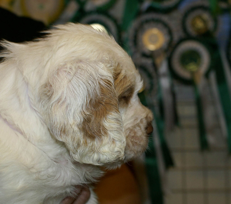 x_boy_purple_nearly_6weeks_h