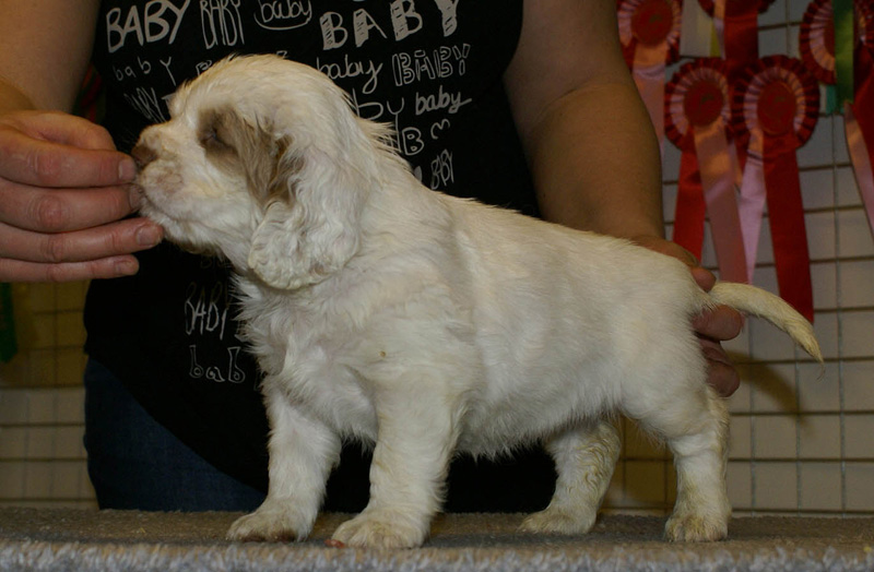 x_girl_blue_nearly_6weeks_c