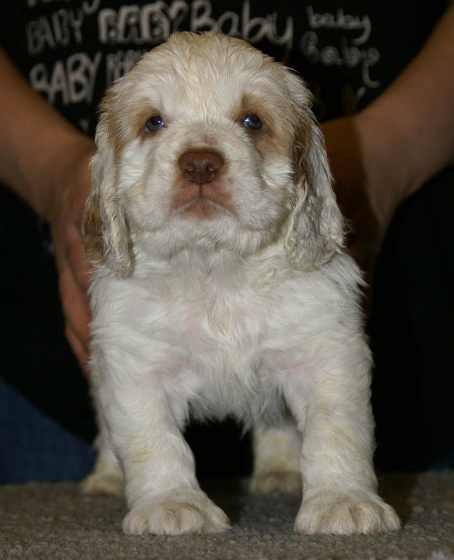 x_girl_blue_nearly_6weeks_e