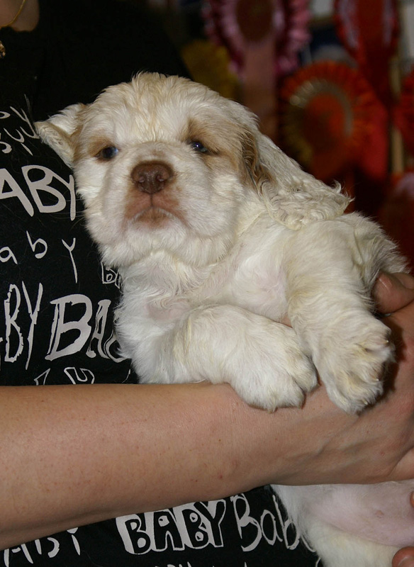 x_girl_blue_nearly_6weeks_f