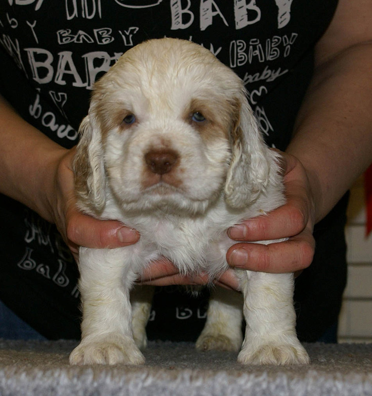 x_girl_blue_nearly_6weeks_gjpg