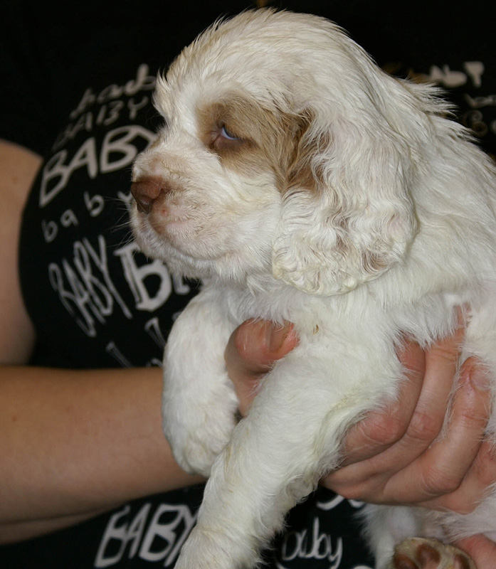 x_girl_blue_nearly_6weeks_h