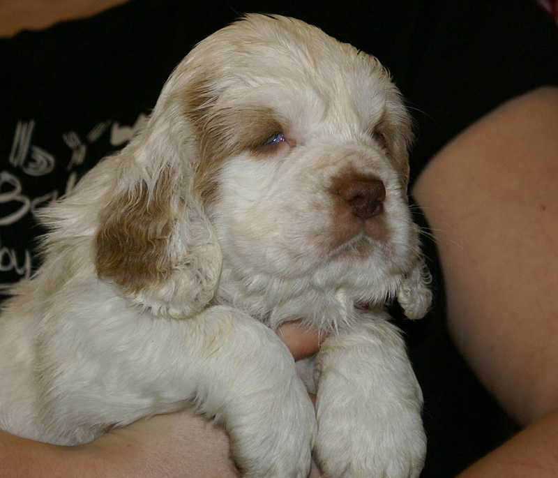 x_girl_blue_nearly_6weeks_i