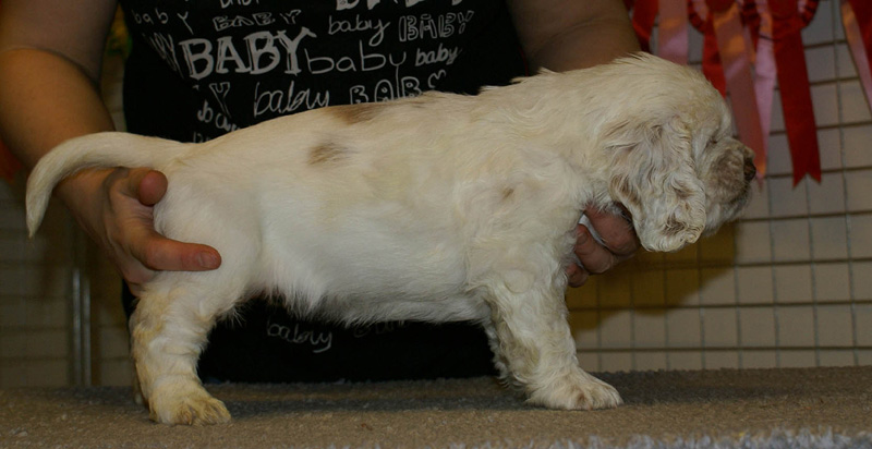 x_girl_bronze_nearly_6weeks_c