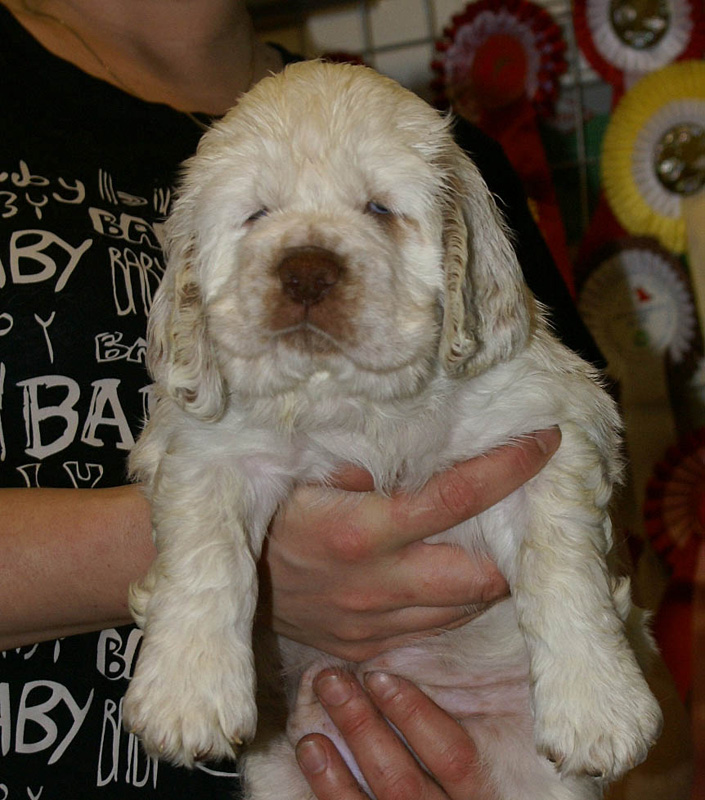 x_girl_bronze_nearly_6weeks_h