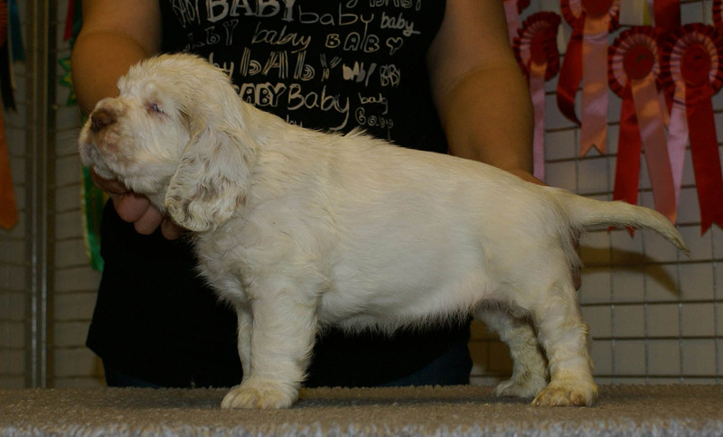 x_girl_green_nearly_6weeks_a