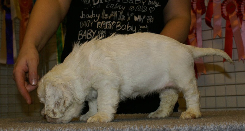 x_girl_green_nearly_6weeks_e