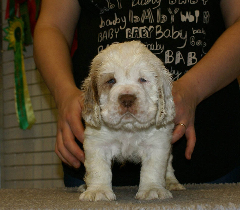 x_girl_green_nearly_6weeks_j