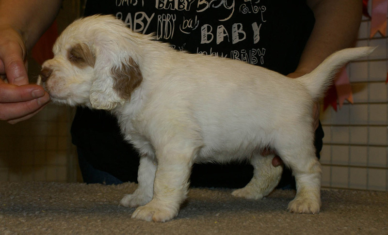 x_girl_pink_nearly_6weeks_c