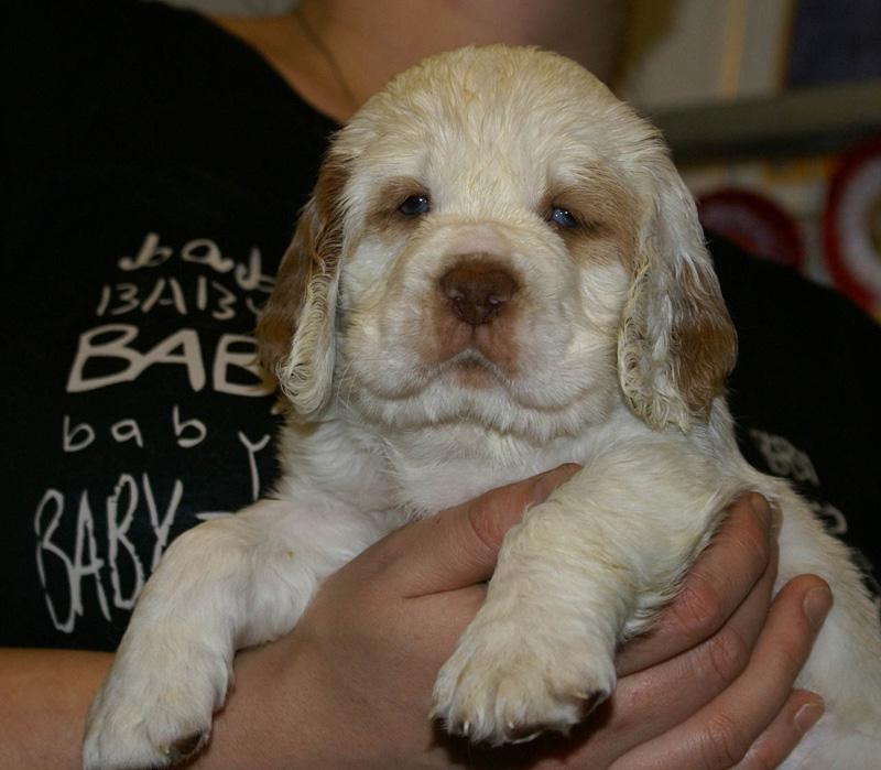 x_girl_pink_nearly_6weeks_g