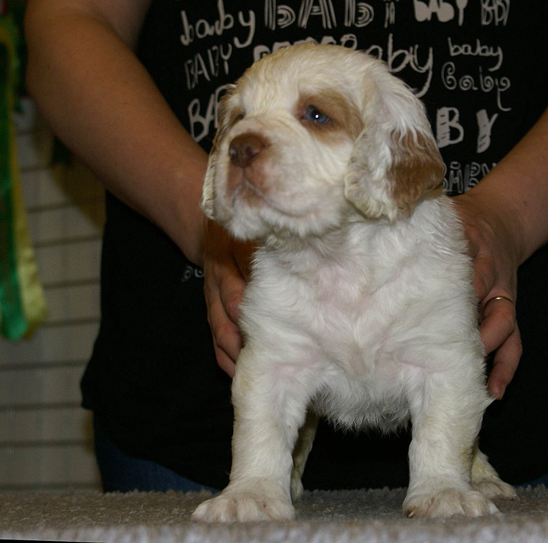 x_girl_pink_nearly_6weeks_j