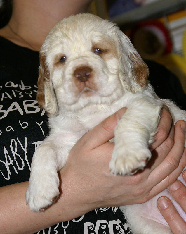 x_girl_pink_nearly_6weeks_l