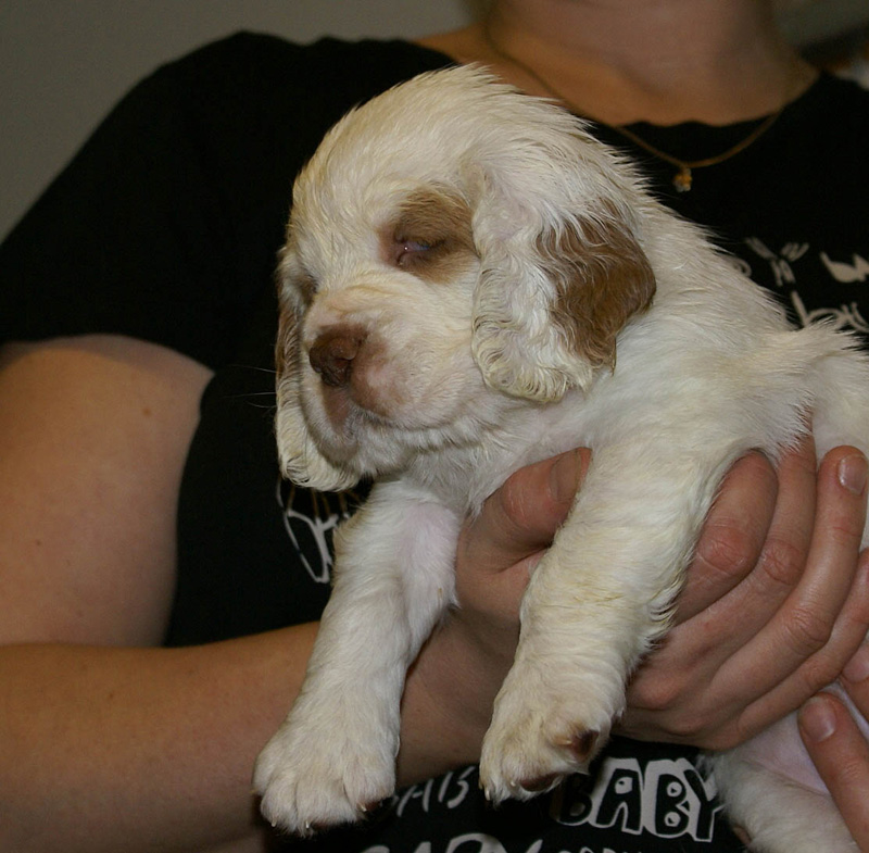 x_girl_pink_nearly_6weeks_n