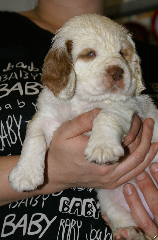 x_girl_pink_nearly_6weeks_o