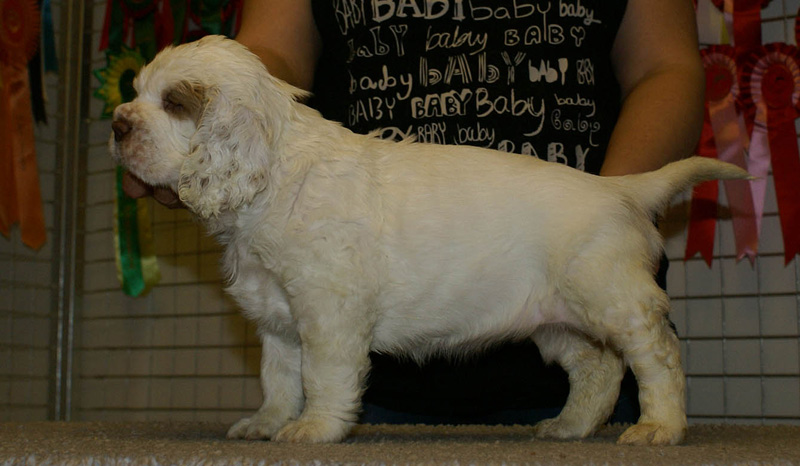 x_girl_purple_nearly_6weeks_a