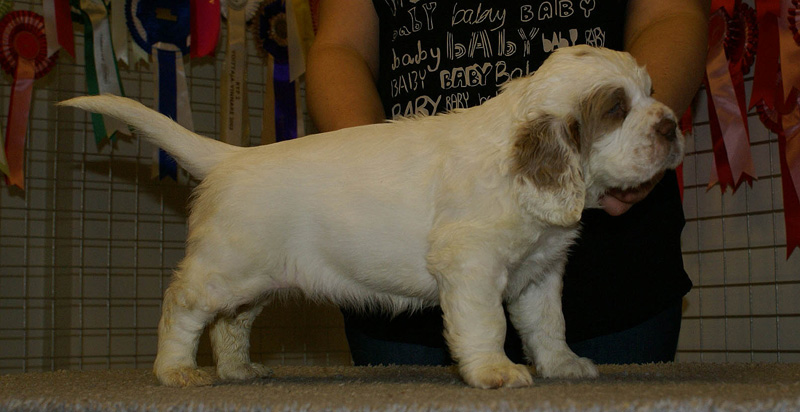 x_girl_purple_nearly_6weeks_c