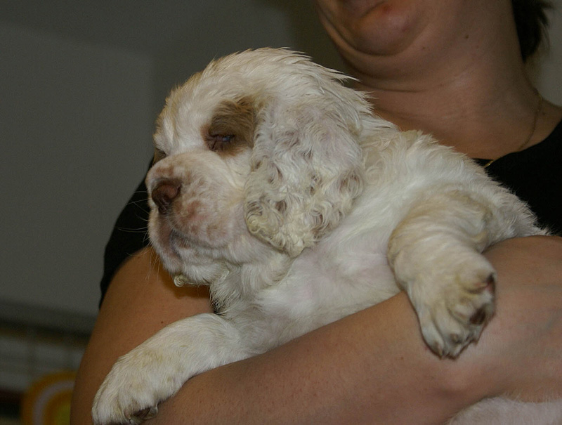 x_girl_purple_nearly_6weeks_h