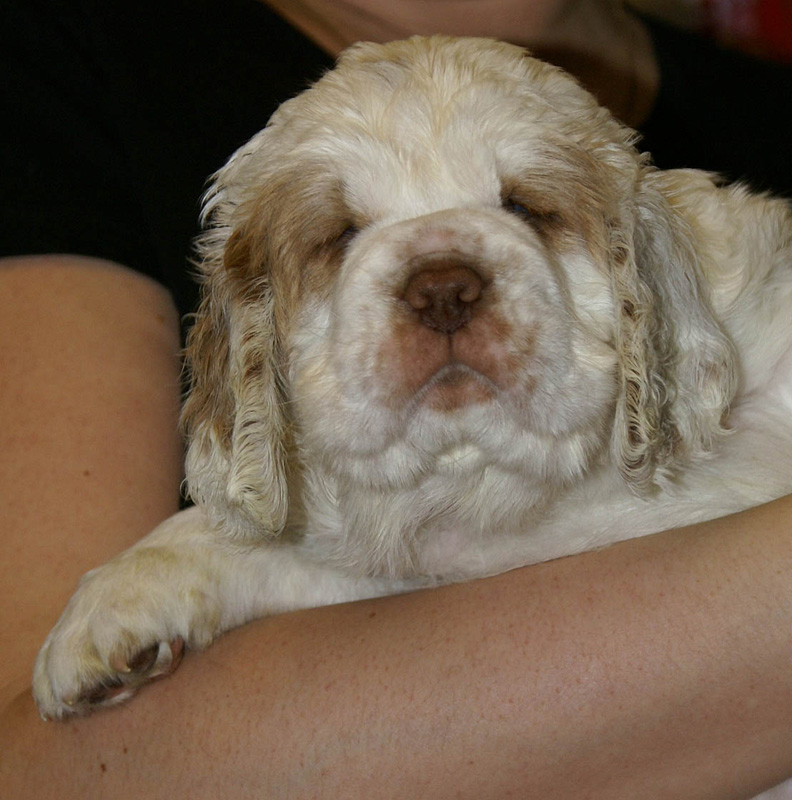 x_girl_purple_nearly_6weeks_i