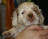 x_boy_green_nearly_6weeks_b